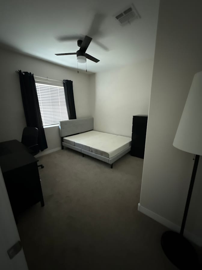 Solomon's room