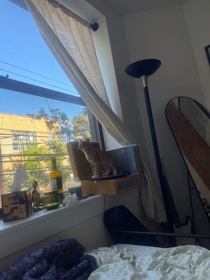 Eleonore's room