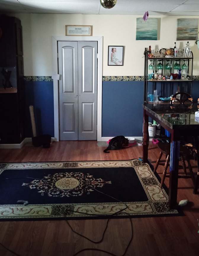 Brandy's room