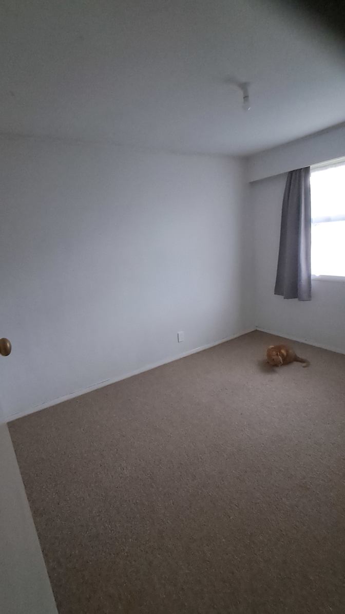 Peter White's room