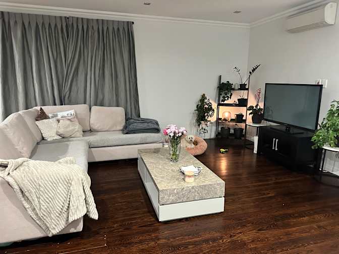 Tannaz Kalantarian's room