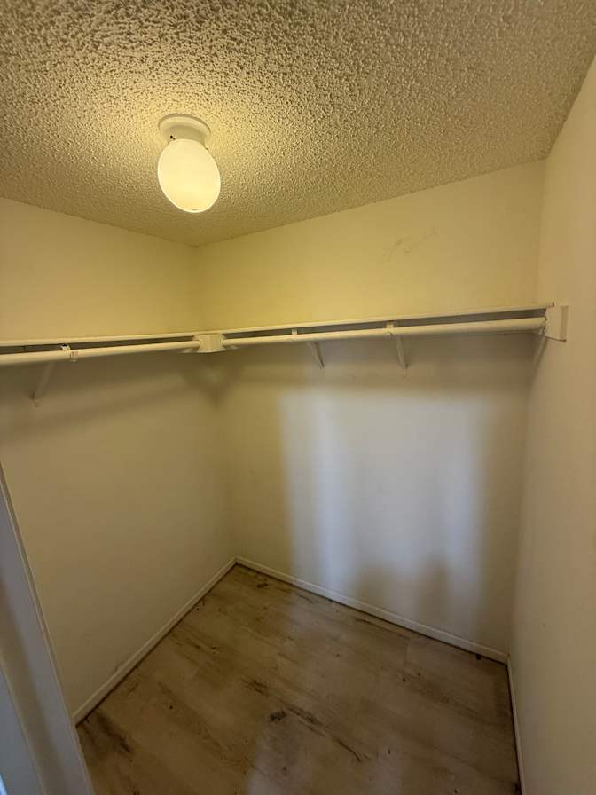Jared's room