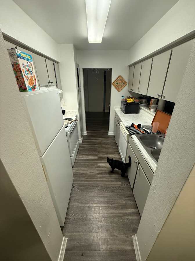 Joshua's room