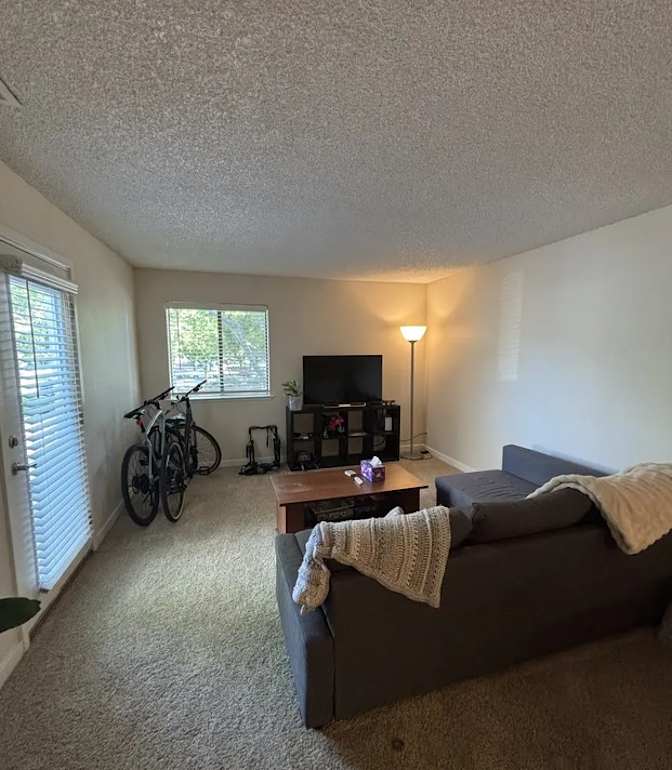 Veronica's room