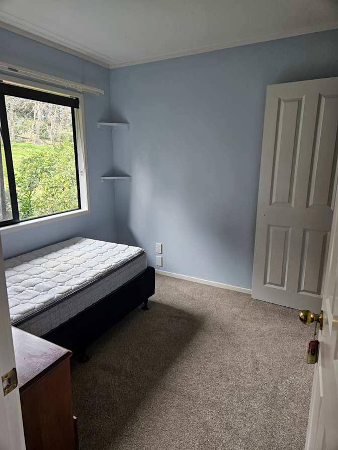 Shaun's room