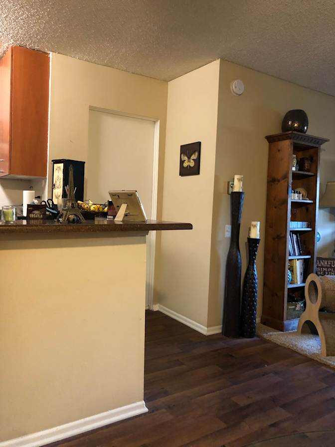 Shannon's room