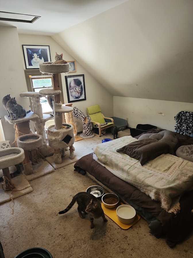 Norma's room