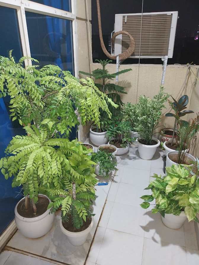 bharti verma's room