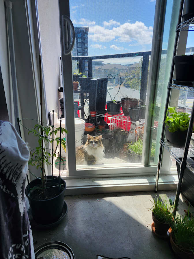 Jody's room
