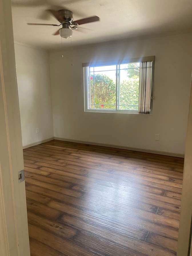 Ann's room