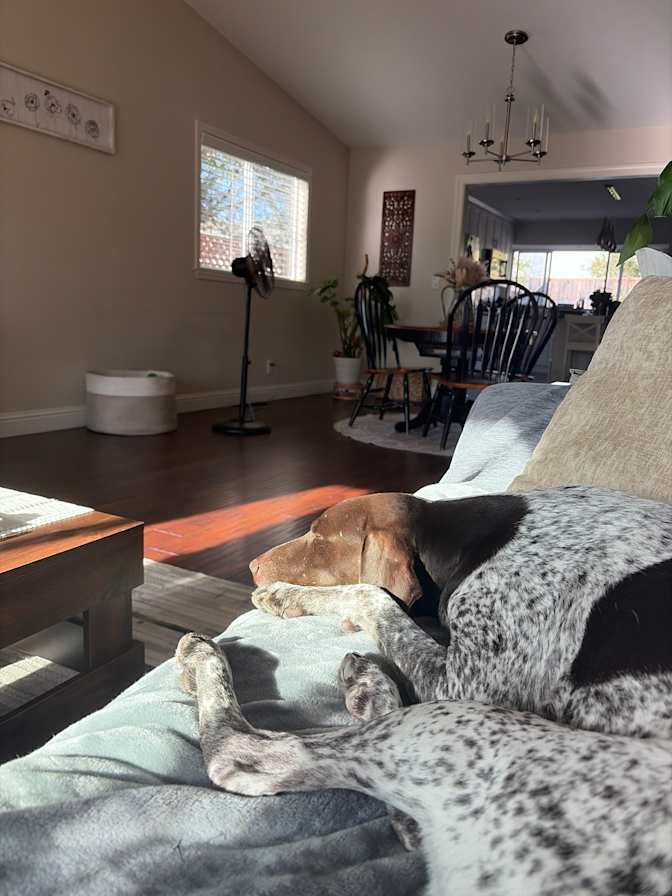 Heather's room