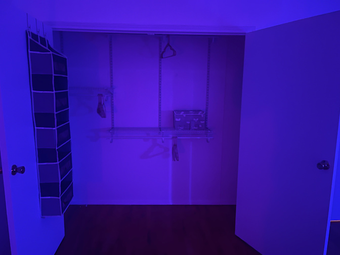Calvin's room