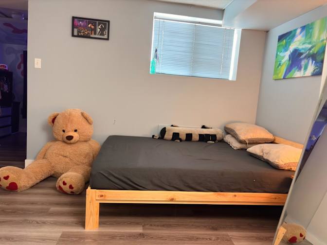 ayel's room