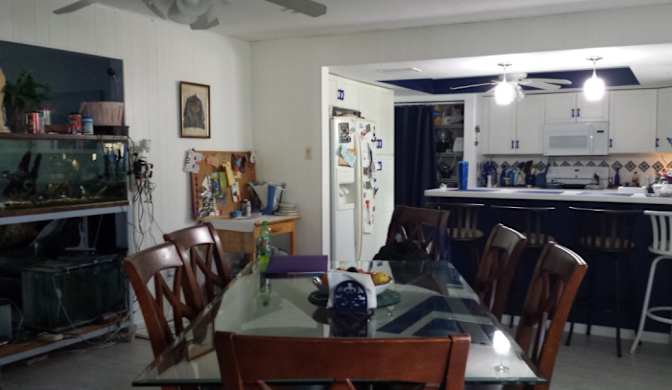 Donna M Cohn's room