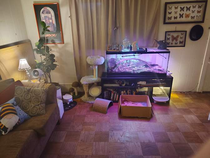 D's room