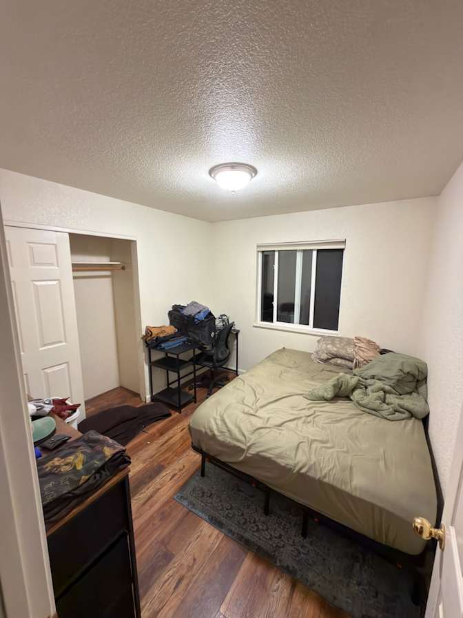 Ava's room