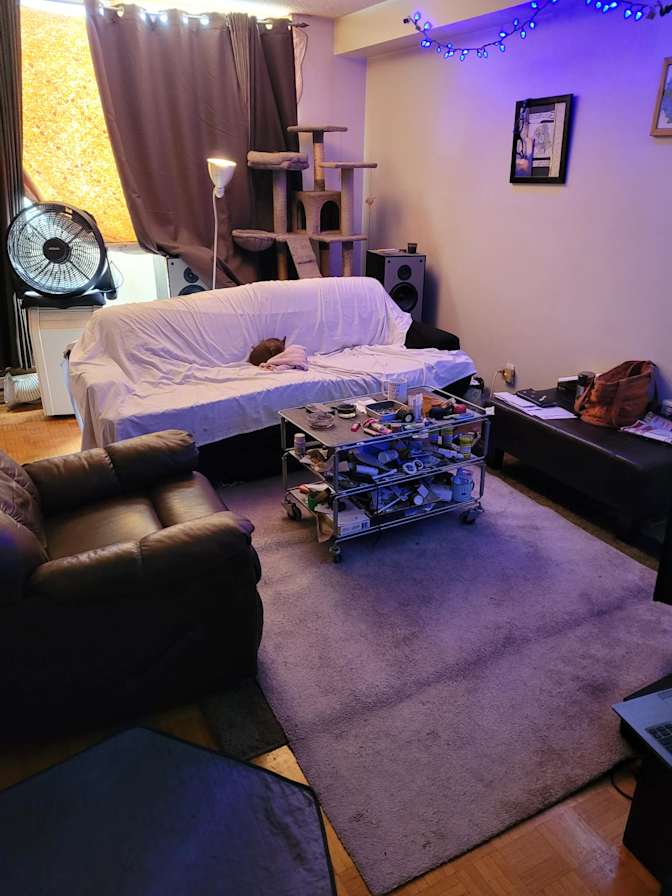 Elyssia's room