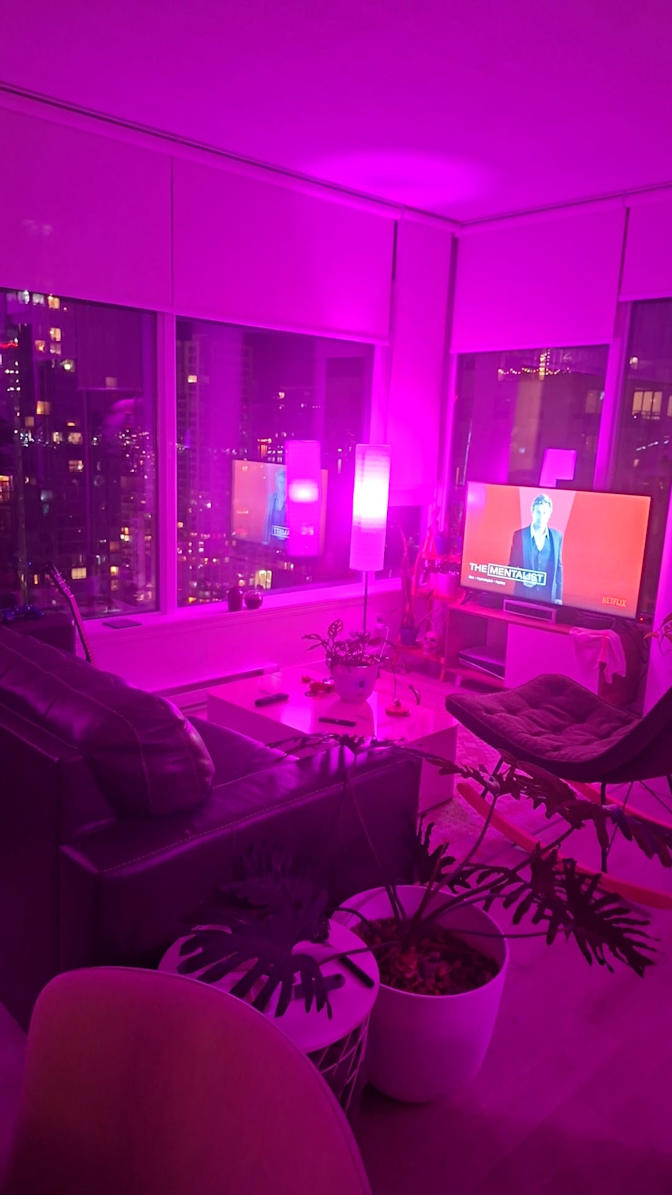 Tomer's room