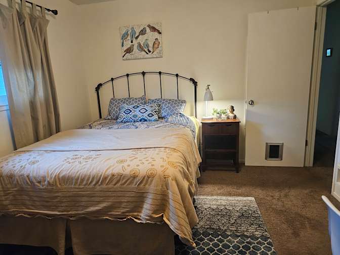 Amy's room