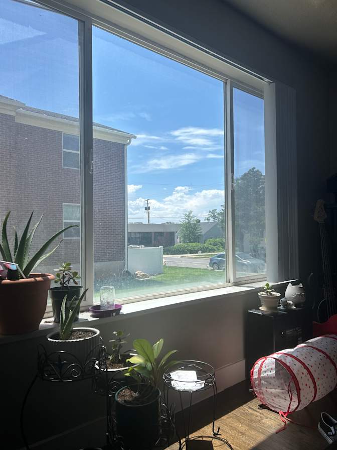 Gus's room