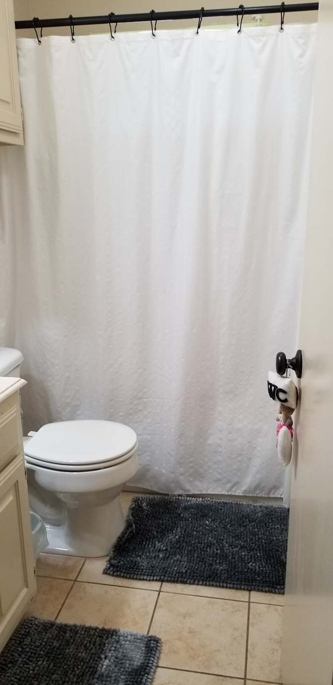 Vajihe's room