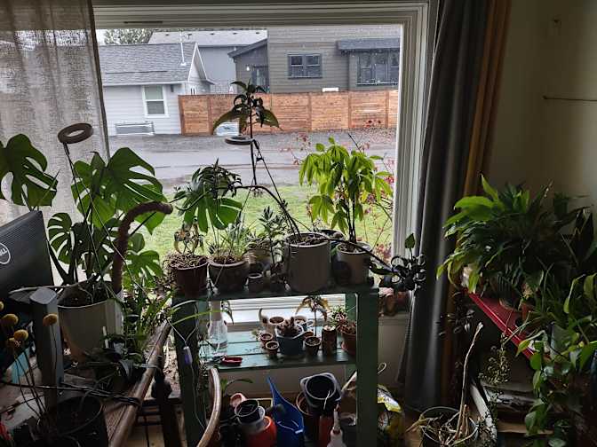 Kevin's room