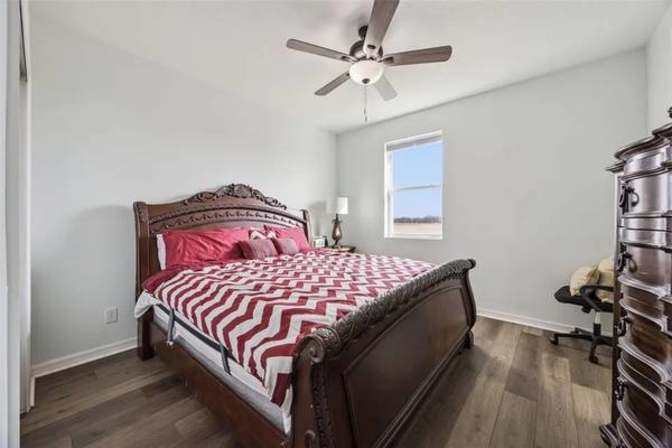 David Lowe's room