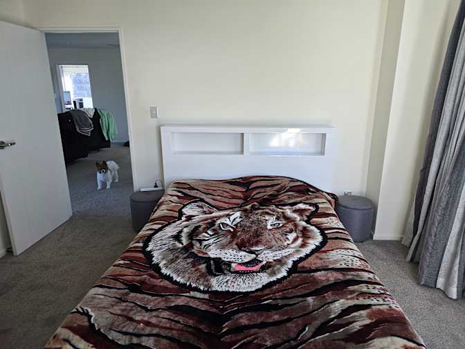 Beta Lucky's room