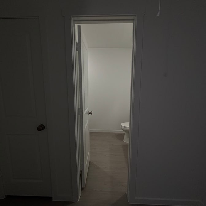 Cat's room