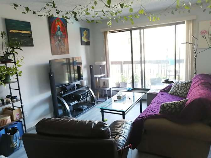 Jasmine's room