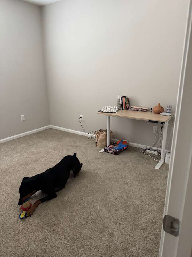 Dreka's room