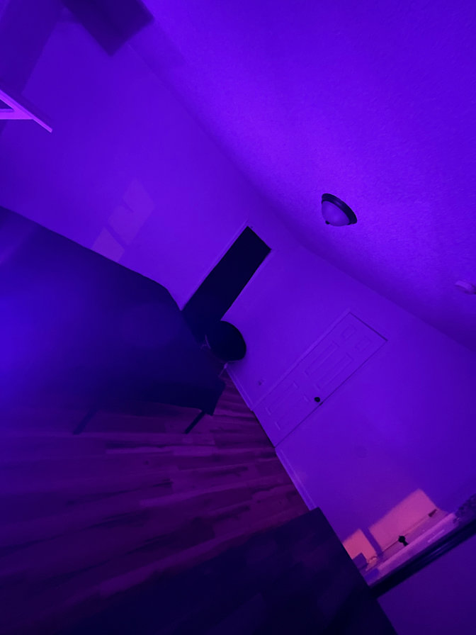 Rosie's room