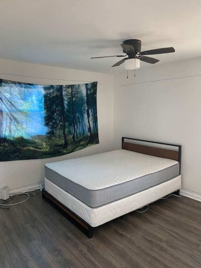 Renee's room