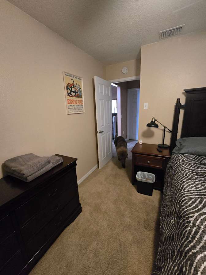 Nicole Drago's room