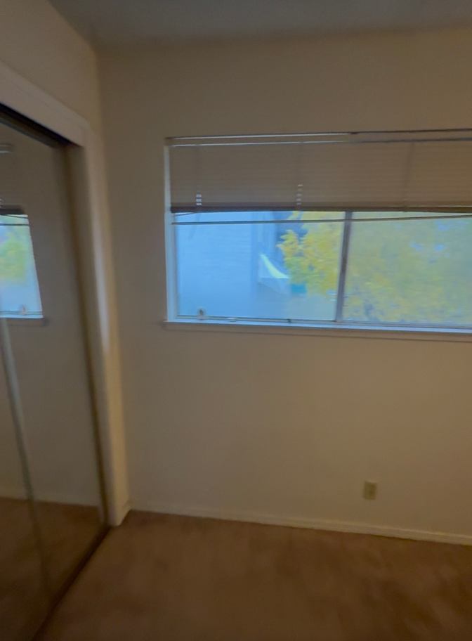 Navi's room