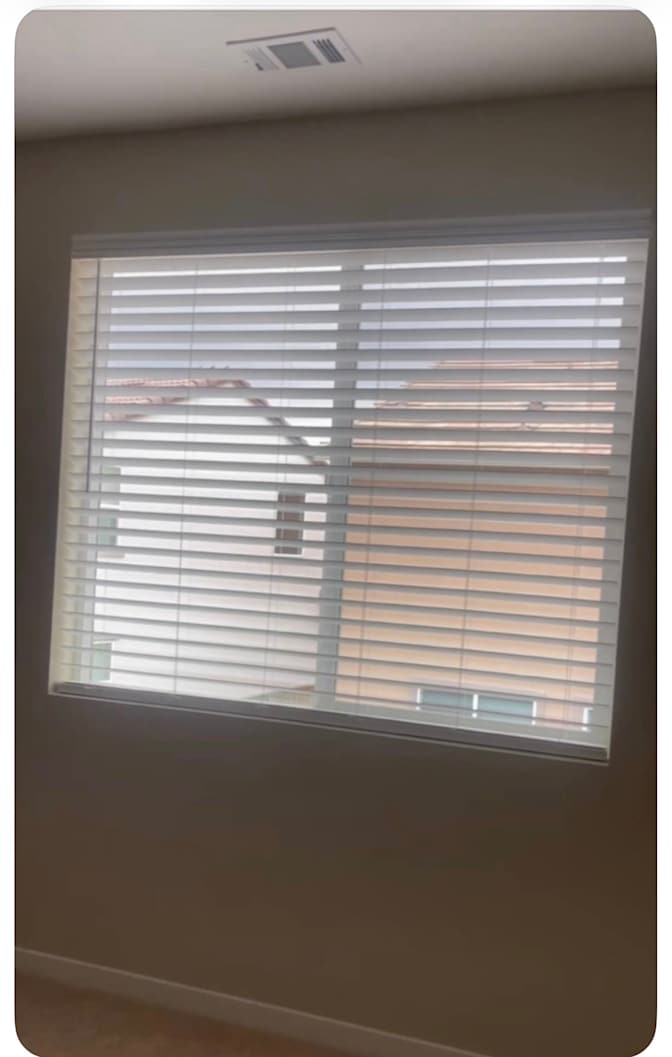 sophia's room