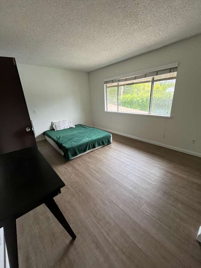 Molly's room