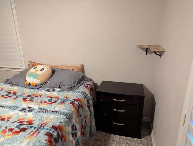 Dakota's room