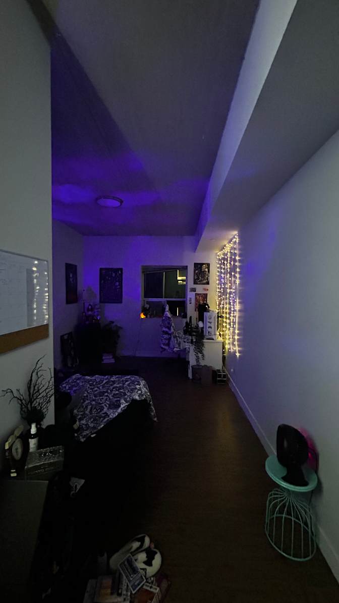 Mya Burrows's room