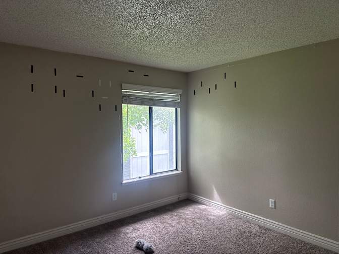Stephanie's room