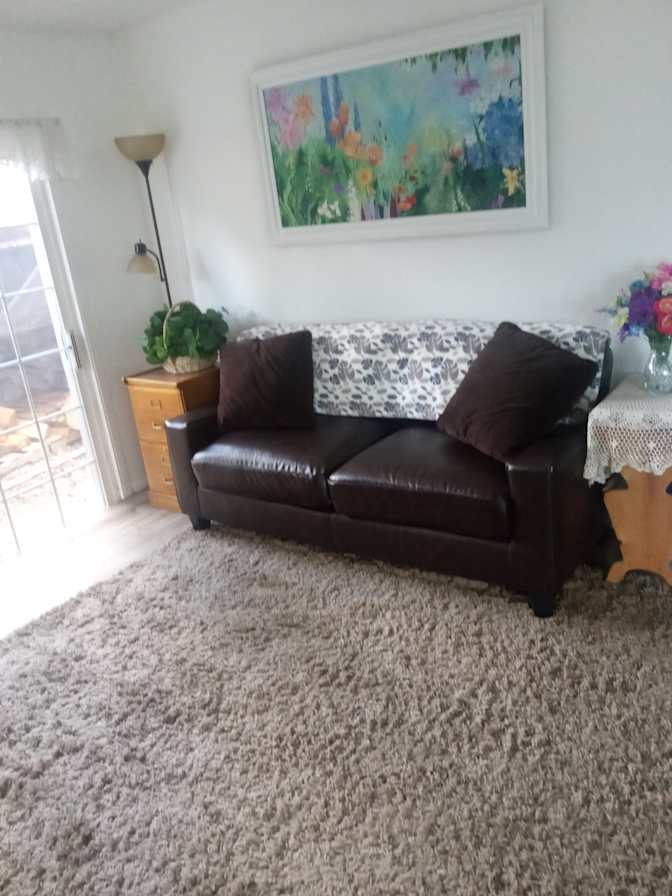 Susan Cook's room