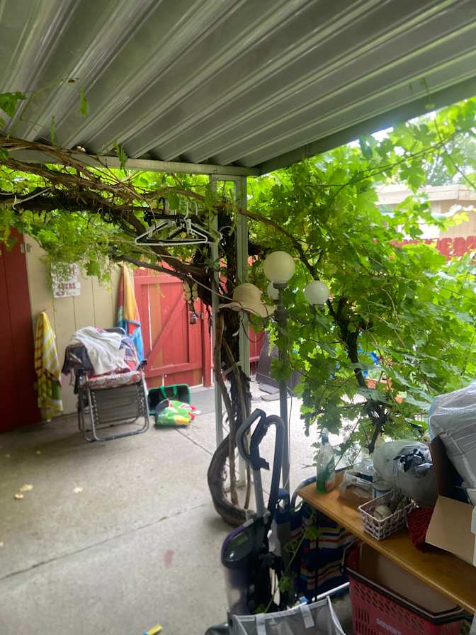 Regina Ann Powers's room