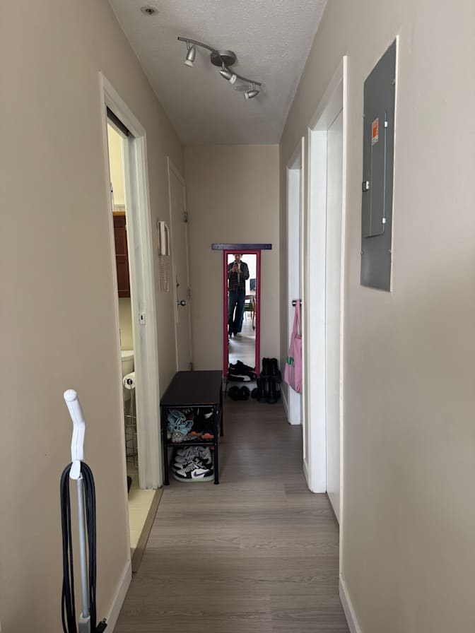 ROHAM ALAVI's room