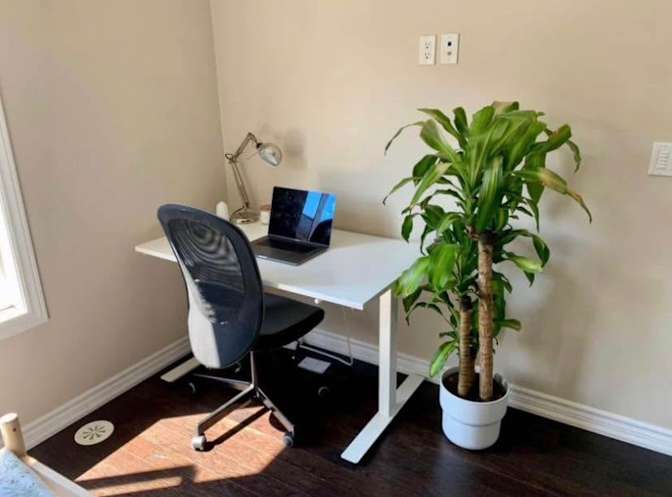 Tarik Towfeq's room
