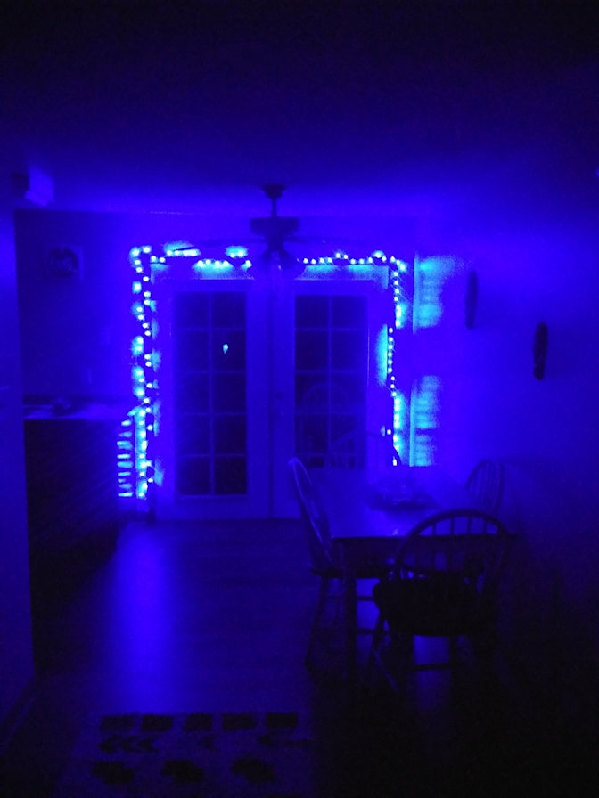 William's room