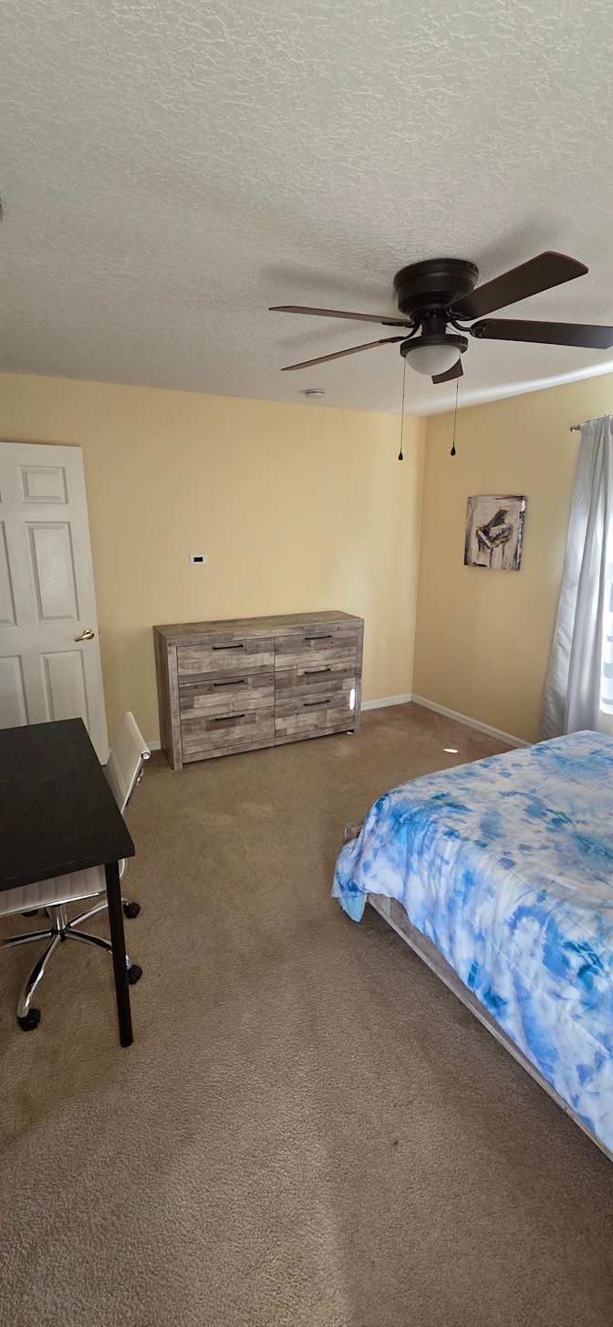 Carlyle's room