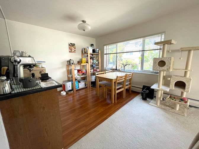 Cameron's room