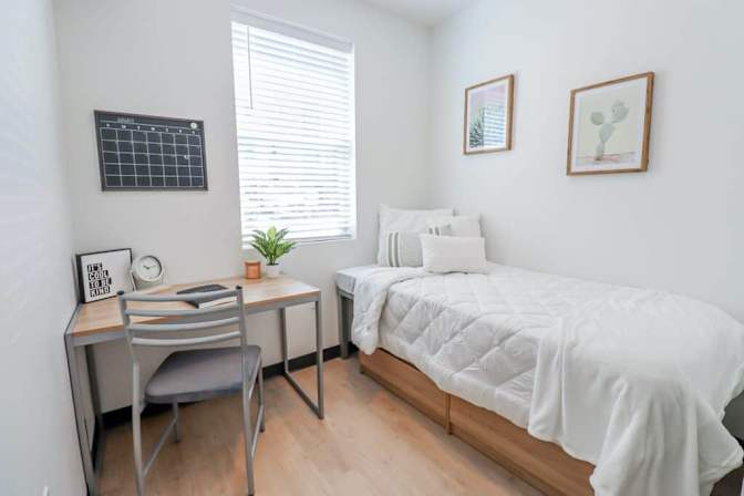 Mary's room