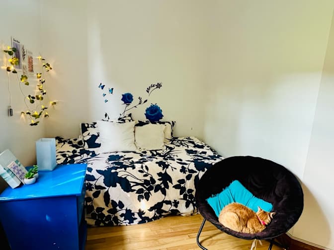 Sonia's room
