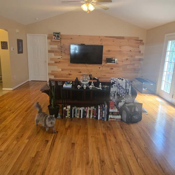 Lauren E's room